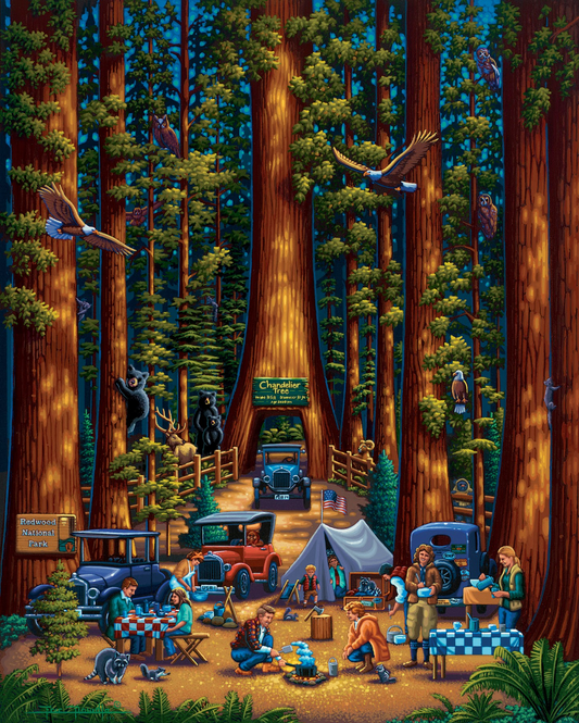 Redwood National Park, California Dowdle Signature Edition Puzzle