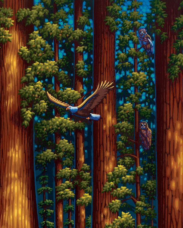 Redwood National Park, California Dowdle Signature Edition Puzzle