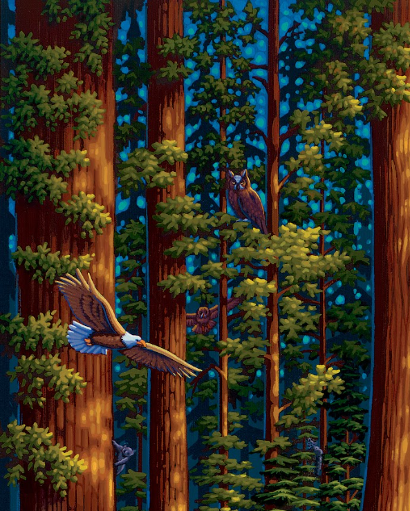 Redwood National Park, California Dowdle Signature Edition Puzzle