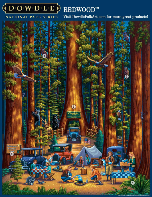 Redwood National Park, California